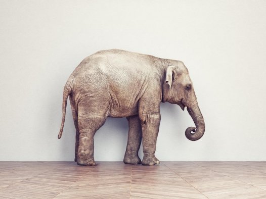 文章样式五:视频列表