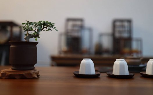 视频号优选联盟怎么入驻?优选联盟入驻流程是什么?